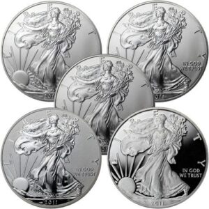 2011 American Silver Eagle 25th Anniversary 5-Coin Set (Box + CoA)