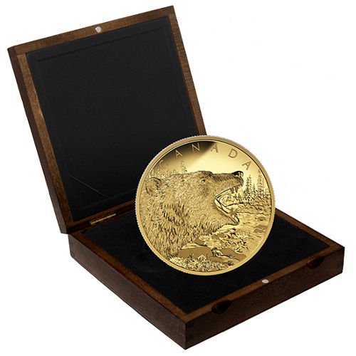 500 Gram Canadian Gold Roaring Grizz