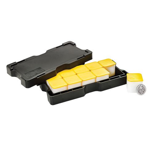 1 oz British Platinum Queens Beast B