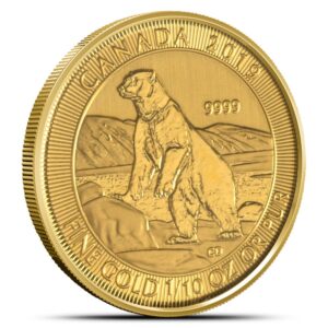 2019 1/10 oz Canadian Gold Polar Bear Coin