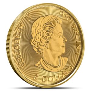 2019 1/10 oz Canadian Gold Polar Bear Coin