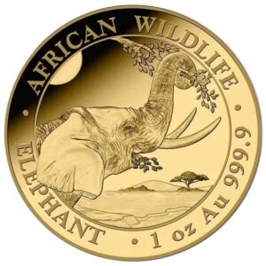 2023 1 oz African Wildlife Elephant Gold Coin