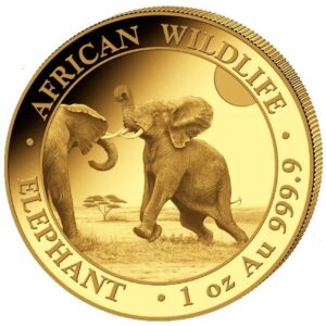 2024 1 oz African Wildlife Elephant Gold Coin