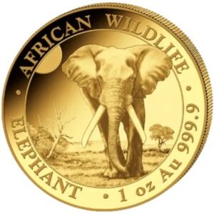 2025 1 oz African Wildlife Elephant Gold Coin