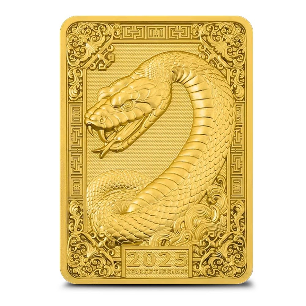 5 oz Fiji Silver Snake Rectangular C