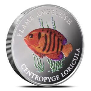 2025 5 oz Proof Colorized Pitcairn Islands Silver Flame Angelfish Coin (Box + CoA)