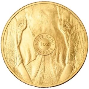 2025 1 oz Elephant Gold Coin Big Five Series
