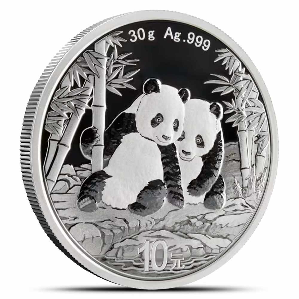 30 Gram Chinese Silver Panda Coin