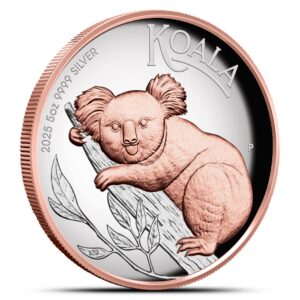 2025 5 oz Proof Australian Silver Koala Coin (Gilded, High Relief, Box + CoA)