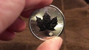 Read more about the article Buy Canadian Platinum Maple Leaf Coins