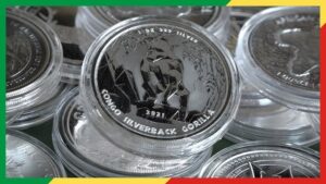 Read more about the article Buy Congo Silver Coins