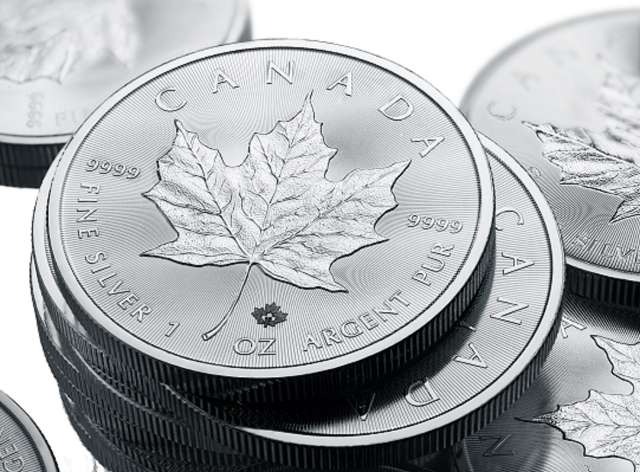 You are currently viewing Canadian Silver Maple Leafs